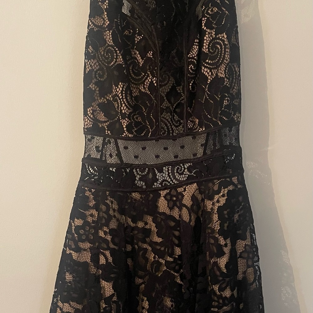 bebe Black and Cream Lace Backless Dress